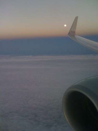 SunR-Ohare-Nightfades
