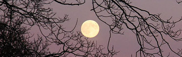 lunarlunacy