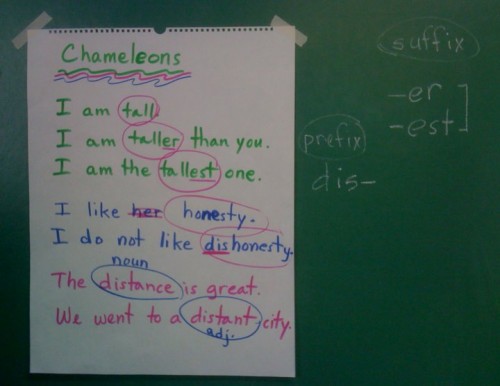 chameleon-words-tall