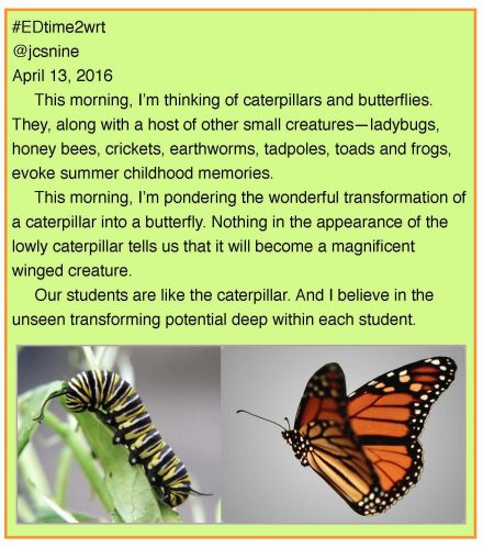 caterpillar